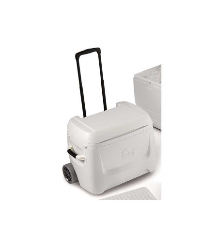 GHIACCIAIE PORTATILI IGLOO ROLLER 49 LT