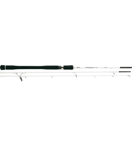 CANNA SPINNING VIAGGIO TRAVEL BAYSEEKER RAPTURE GR 15-40 3 PEZZI MAX 10-20 lb
