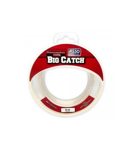 FILO ASSO BIG CATCH INVISIBLE 30 LB MM 489 YDS 50 FLUOROCARBON