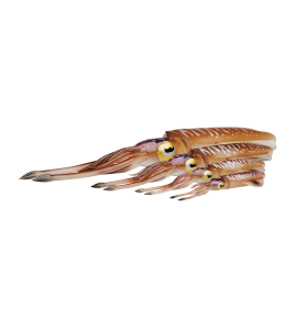 ARTIFICIALE SILICONE CALAMARO 3D SAVAGE COLORE HORNY SQUID CM 25 GR 86