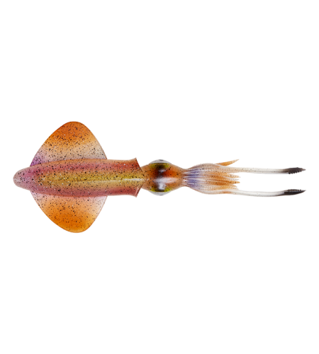 ARTIFICIALE SILICONE CALAMARO 3D SAVAGE COLORE HORNY SQUID CM 18 GR 32