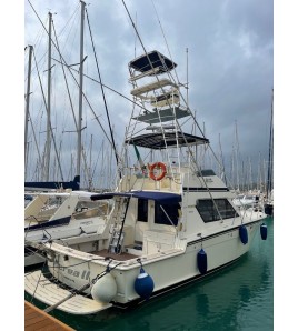 Charter di Pesca Arcipelago Toscano Marina di CECINA LI By Zambo Fishing