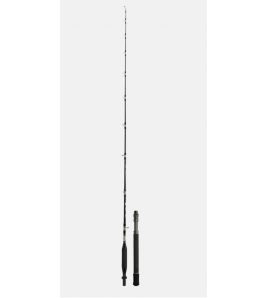 CANNA DA TRAINA COL VIVO SHIMANO TYRNOS B TROLLING LIGHT ACID 6LB