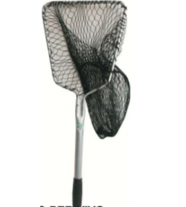 Guadino x Esca Viva 24x26