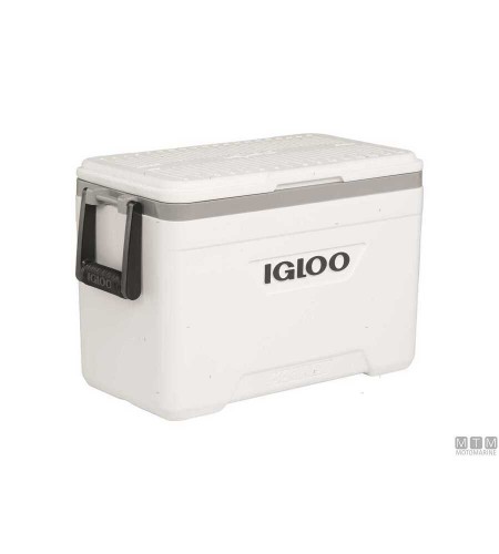 GHIACCIAIE PORTATILI IGLOO 23 LT 