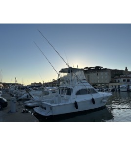 Noleggio Imbarcazione da Castiglione della Pescaia per, Isola del Giglio, Argentario, Giannutri, Elba, Capraia, Corsica,sardegna