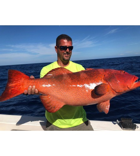 Fishing Charter di Pesca Kenya Watamu Con Zambo Fishing Adventure