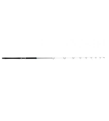 Canna CUSTOM PRO LITE Okuma 2-4 LBS MT 213 Pezzi 2
