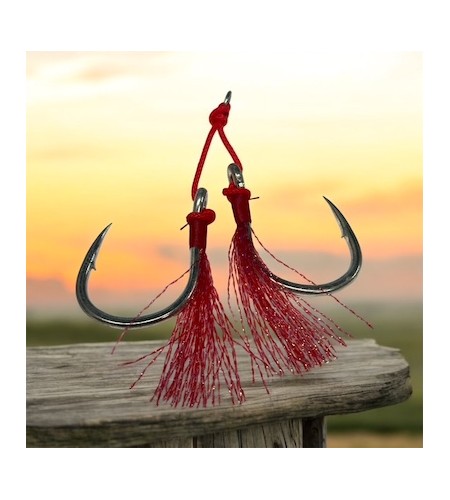 ASSIST SLOW Sakatia ZFA 6/0 SLOW JIGGING COLORE Red