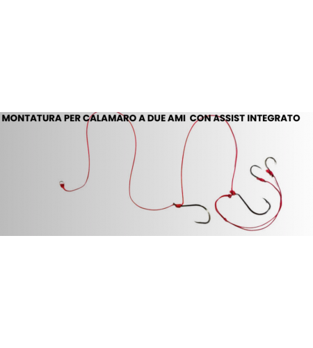 Terminale Palluccella Calamaro a Due Ami con Assist Integrato M2