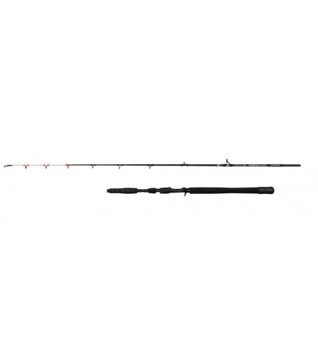 CANNA Penn Marine Brigade DENTEX 50-150 GR Mt 1,90