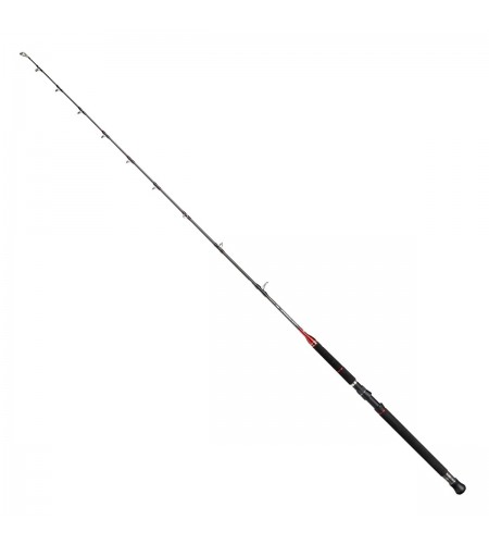 CANNA Penn Traina Conflict Trolling 3-8 LB GR Mt 2,13