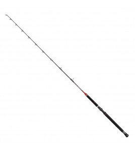 CANNA Penn Traina Conflict Trolling 20-30 LB GR Mt 2,13