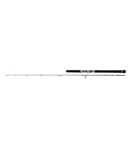 CANNA Penn Battalion Solid Jigging Spinning Rod 300 GR Mt 1,83