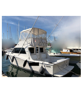 Barca Fisherman CABO 35 FLY + 2x460 HP CATERPILLAR