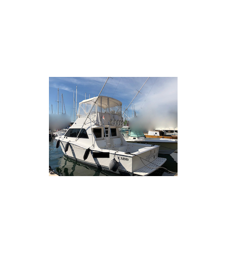 Barca Fisherman CABO 35 FLY + 2x460 HP CATERPILLAR