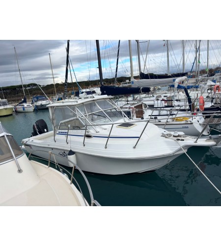 Barca Fisherman Wellcraft 240 Weekender Anno 1995