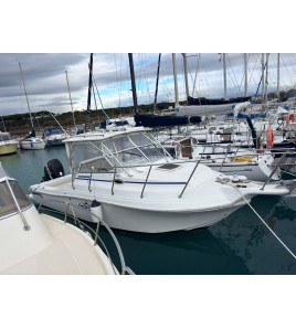 Barca Fisherman Wellcraft 240 Weekender Anno 1995