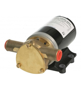 Pompe Autoadescanti Jabsco Water Puppy 2000 32 LT 12 V BOCCA 25 MM