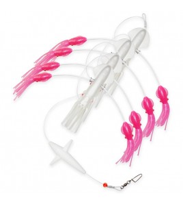 KIT Teaser ZFA Paradise Calamari Plus Trolling Colore White Pink