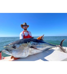 CHARTER PESCA Con Alex Zambo Fishing Adventure ADRIATICO ALBARELLA BARRICATA-PORTO GARIBALDI-LIDO DEGLI ESTE–MARINA DI RAVENNA